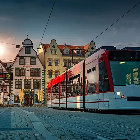 Dom Ii - Domplatz * 埃尔福特